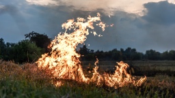 В лесах Саратовской области будут работать 40 камер видеонаблюдения