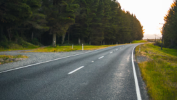 На содержание 91-километровой дороги в Прикамье направят 296 млн рублей