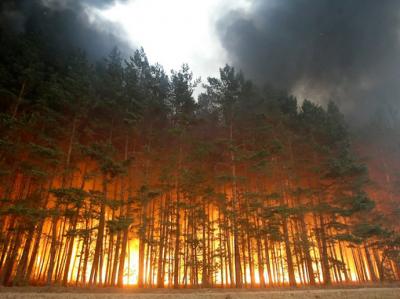 С 2017 года лесные пожары в России будут тушить новыми способами