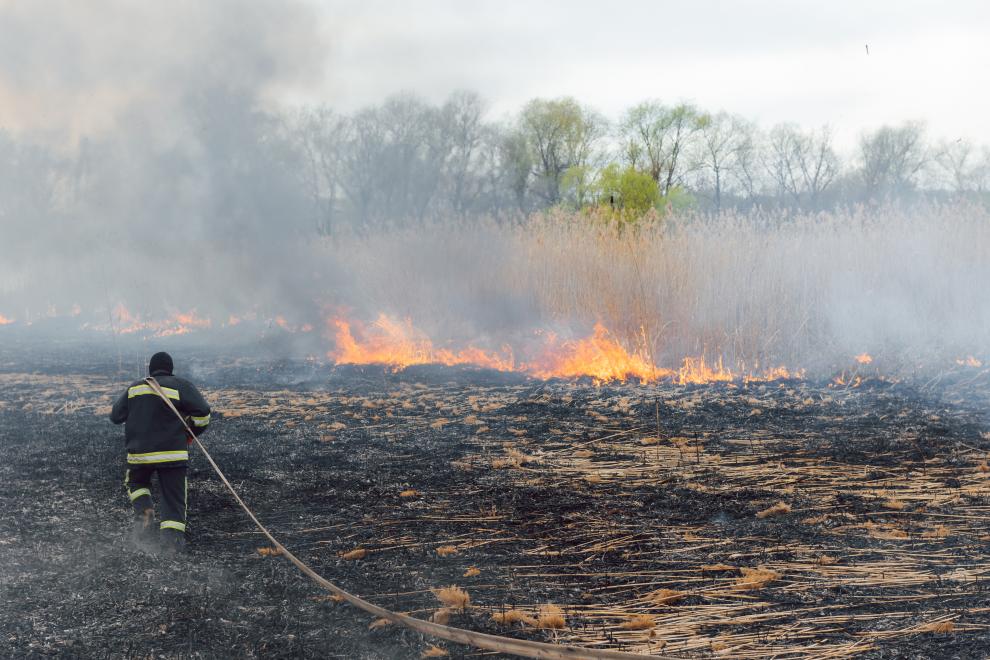 Губернатор Подмосковья предложил вести видеомониторинг лесных пожаров в других регионах