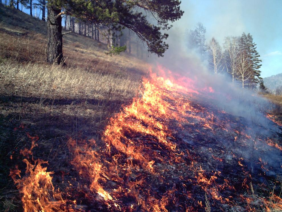 С помощью видеомониторинга в Забайкалье выявляют лесные пожары и незаконные вырубки