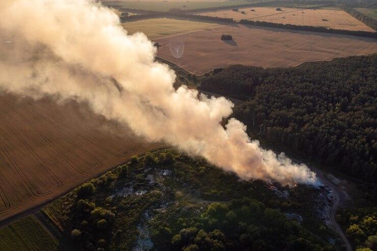 98% лесных пожаров помогли потушить дроны в Удмуртии в первые сутки после возгорания