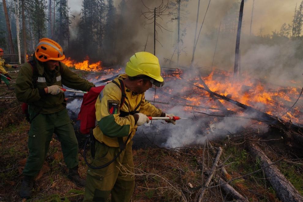 В 23 регионах России зарегистрировано 222 лесных пожара
