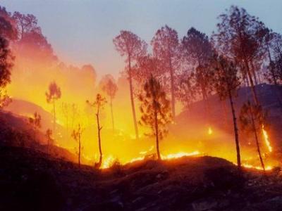 Лесные пожары в Бурятии помогут обнаружить беспилотники