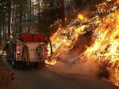 «Авиалесохрана» спрогнозировала риски лесных пожаров в июне