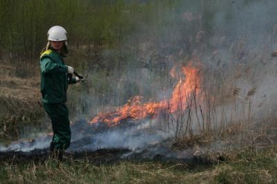 ОАО «РЖД» заплатило 250 тысяч рублей за лесной пожар