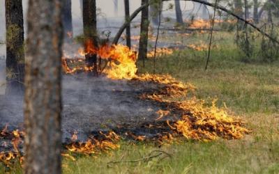 Видеокамера предотвратила масштабный пожар в Можайском районе