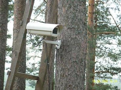 Видеокамеры проследят за лесопожарной обстановкой в Чите