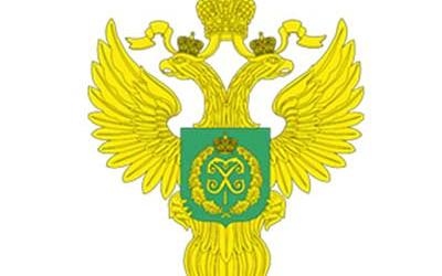 Федеральное агентство лесного хозяйства может начать координировать силы и средства тушения лесных пожаров