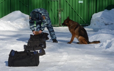 Челябинские экспедиторы «просмотрели» муляж взрывного устройства