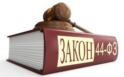 Депутаты одобрили антидемпинговые поправки к ФЗ-44