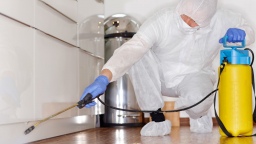 C 15 июля 2020 года предприниматели Московской области смогут получить субсидии на проведение дезинфекции