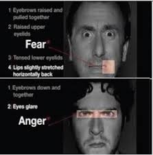 Агрессивных граждан будут знать в лицо