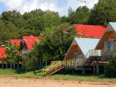 Детские лагеря в Приморье проверят на пожарную безопасность