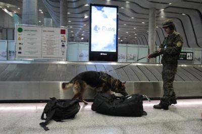 Новые требования к сотрудникам транспортной безопасности вступили в силу