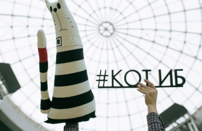 В столицу Грузии едет Кот ИБ