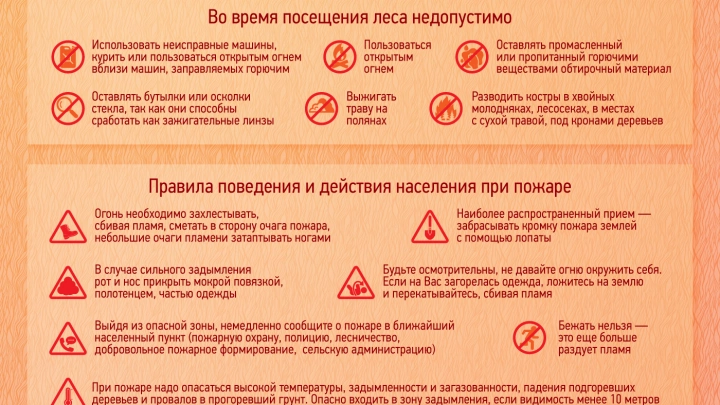 Памятка по лесным пожарам