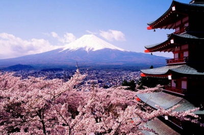 В Краснодаре планируют запустить японские проекты по благоустройству города