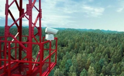 В Новгородской области запустят систему дистанционного мониторинга «Лесохранитель»