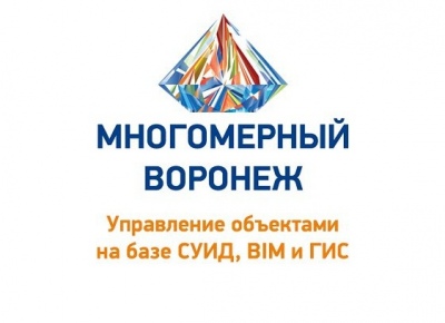 МНОГОМЕРНЫЕ города РОССИИ: в Воронеже оценили идею Цифрового актива