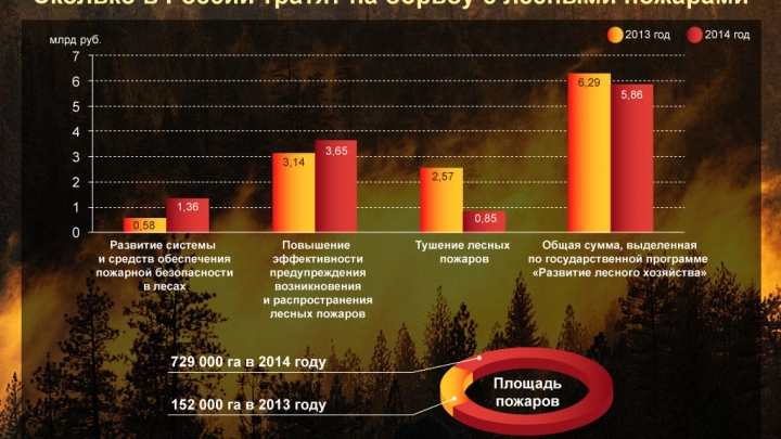 Россия не справляется с предупреждением лесных пожаров