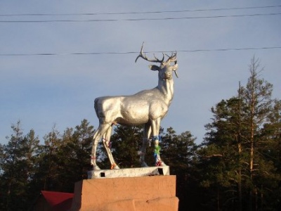 Госзаказчики Забайкалья могут перейти от аукционов к конкурсам для поддержки местного бизнеса