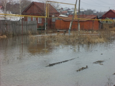 Квадрокоптеры задействуют для оценки ситуации с паводком