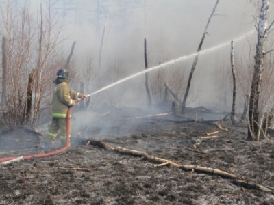 МЧС России защищает населенные пункты и объекты экономики от природных пожаров