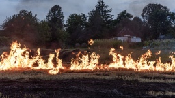 Интеллектуальное видеонаблюдение предотвращает лесные пожары в ЯНАО