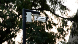 Администрация Тюмени ищет подрядчика для организации трансляции видеоизображений с городских видеокамер