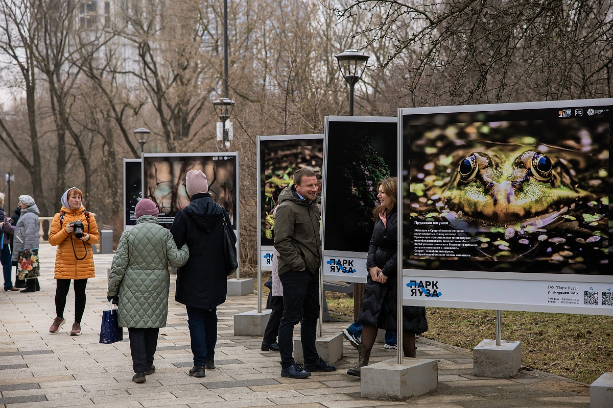 ГАУ «Парк Яузы» в Москве оснастят системами оповещения и камерами видеонаблюдения