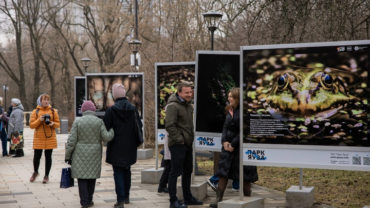ГАУ «Парк Яузы» в Москве оснастят системами оповещения и камерами видеонаблюдения