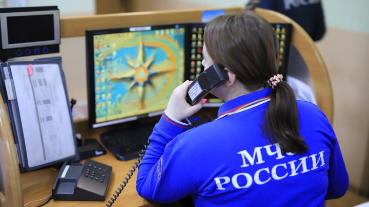 МЧС разрабатывает единую онлайн-платформу «Цифровой пожарный гарнизон»