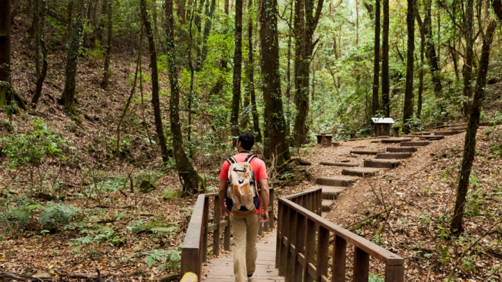 Туристические маршруты без паспортов безопасности будут под запретом