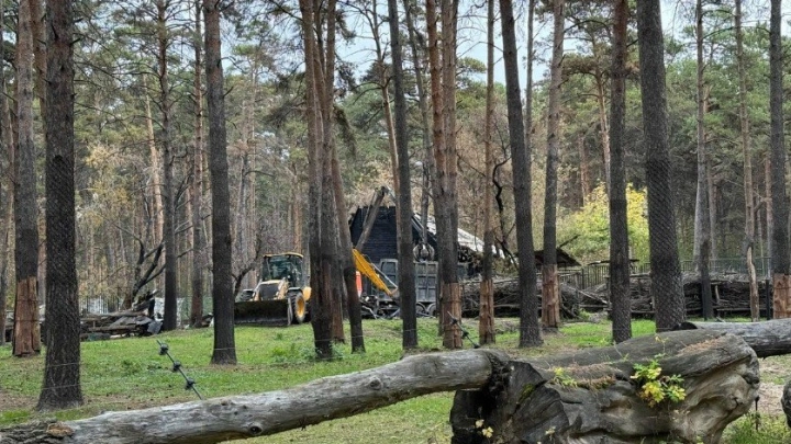 После пожара в зоопарке новосибирские власти проверят безопасность всех муниципальных учреждений