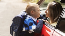 В Совфеде предложили упростить оформление детских перевозок, сохранив акцент на безопасности