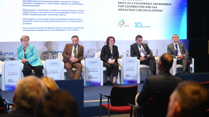 Страны БРИКС обсудили на ПМГФ-2025 перспективы инвестиций в газовую отрасль