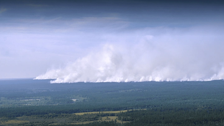Рослесхоз призвал регионы активизировать работу по тушению лесных пожаров