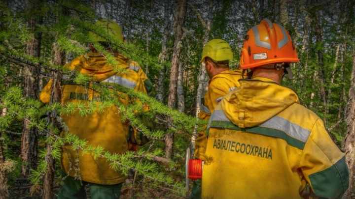Минприроды подготовило поправки в Правила пожарной безопасности в лесах