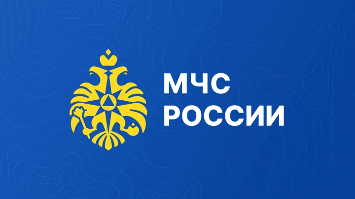 МЧС разработало учебные программы для пожарных-добровольцев