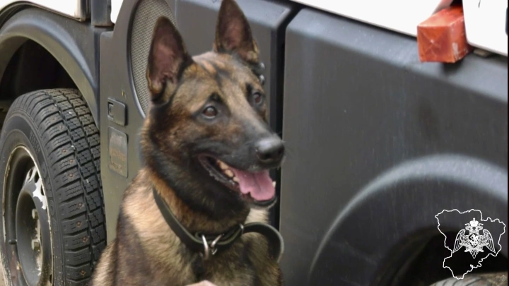 Росгвардия и транспортная полиция отработали поиск взрывчатки на вокзале Волгограда