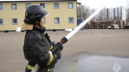 МЧС подготовило регламент по внесению информации в реестр добровольной пожарной охраны