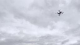 Пензенская и Новгородская области внедряют беспилотные системы в пожарную охрану лесных массивов