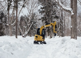Подмосковье внедряет ИИ «Яндекса» для уборки снега