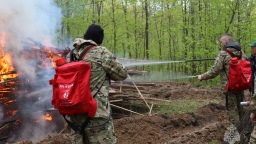 Введен ГОСТ об охране лесов от пожаров