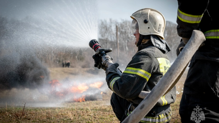 Во ВНИИПО МЧС России предложили метод повышения эффективности борьбы с лесными пожарами