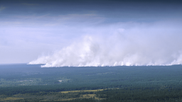 26,6 млрд рублей выделят на противопожарную охрану лесов в 2026 году из федерального бюджета