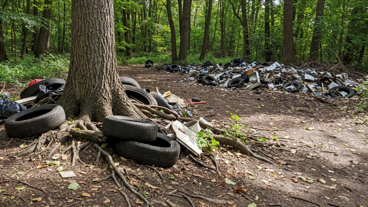 МТС запустил пилот по видеонаблюдению за контейнерными площадками в Губкинском