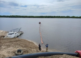 Сумма исков Росприроднадзора к бизнесу достигла 166 млрд рублей за год