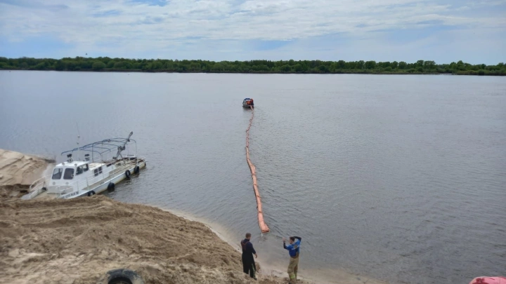 Сумма исков Росприроднадзора к бизнесу достигла 166 млрд рублей за год